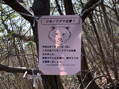 写真4