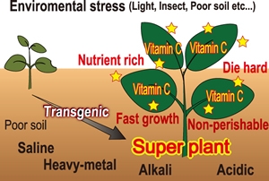 Generation of super plants