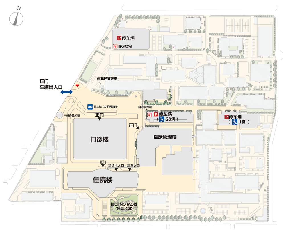 霞校区与大学附属医院