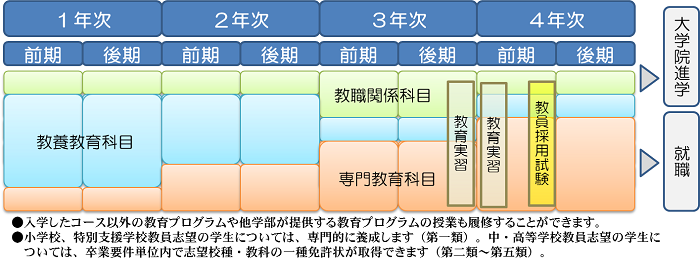 教育学部のカリキュラム概要