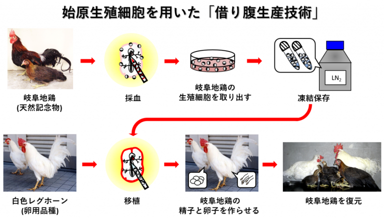 課題① スライド