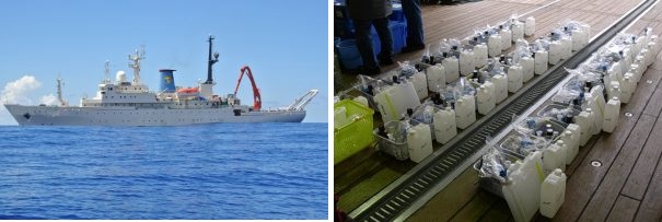 フィールドワーク 写真