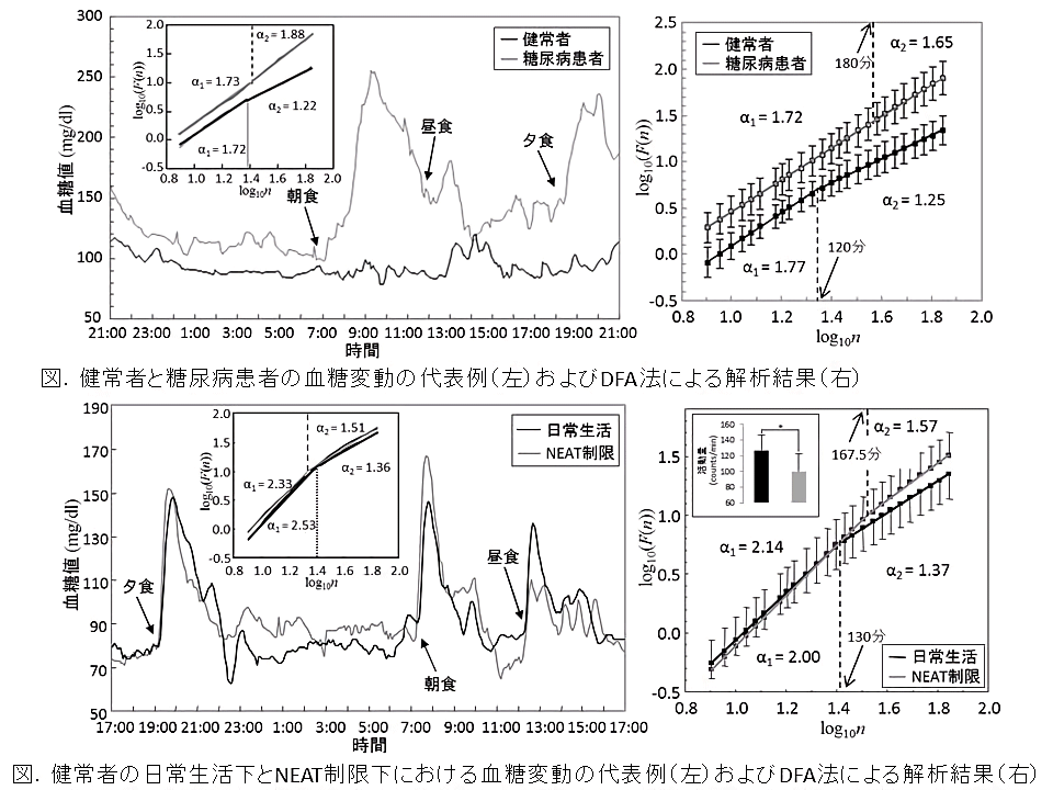今まで取り組んできた研究 画像