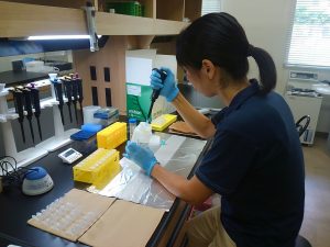 研究風景 その1 写真