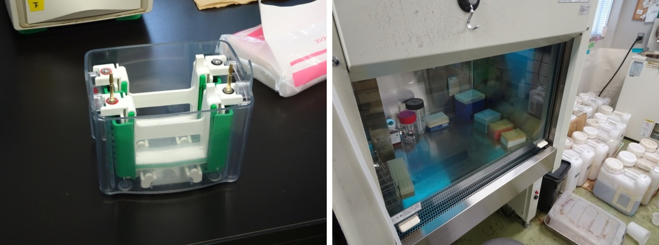 写真：実験で使う実験器具