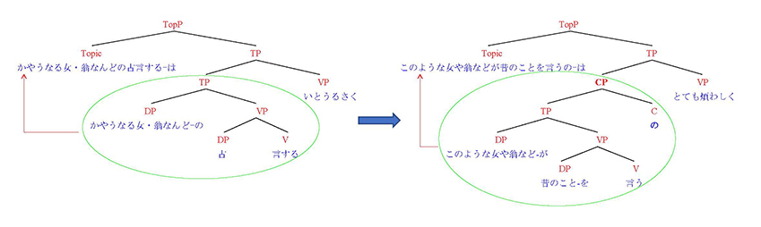 Tree Diagram（樹形図）