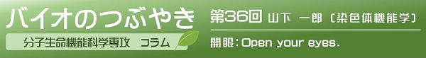 バイオのつぶやき第36回山下一郎教授
