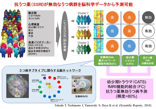 抗うつ薬が無効なうつ病群を脳科学データから予測可能