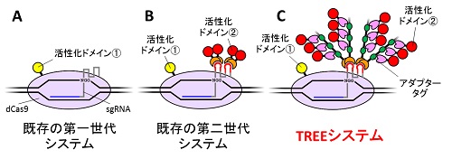 既存の遺伝子活性化システム（第一世代・第二世代）とTREEシステムの模式図