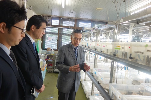 両生類研究センターで説明を受ける西井課長(中央)