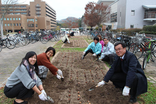 植え付け作業の様子