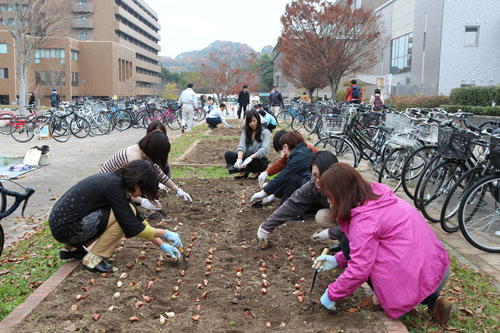 植え付け作業の様子