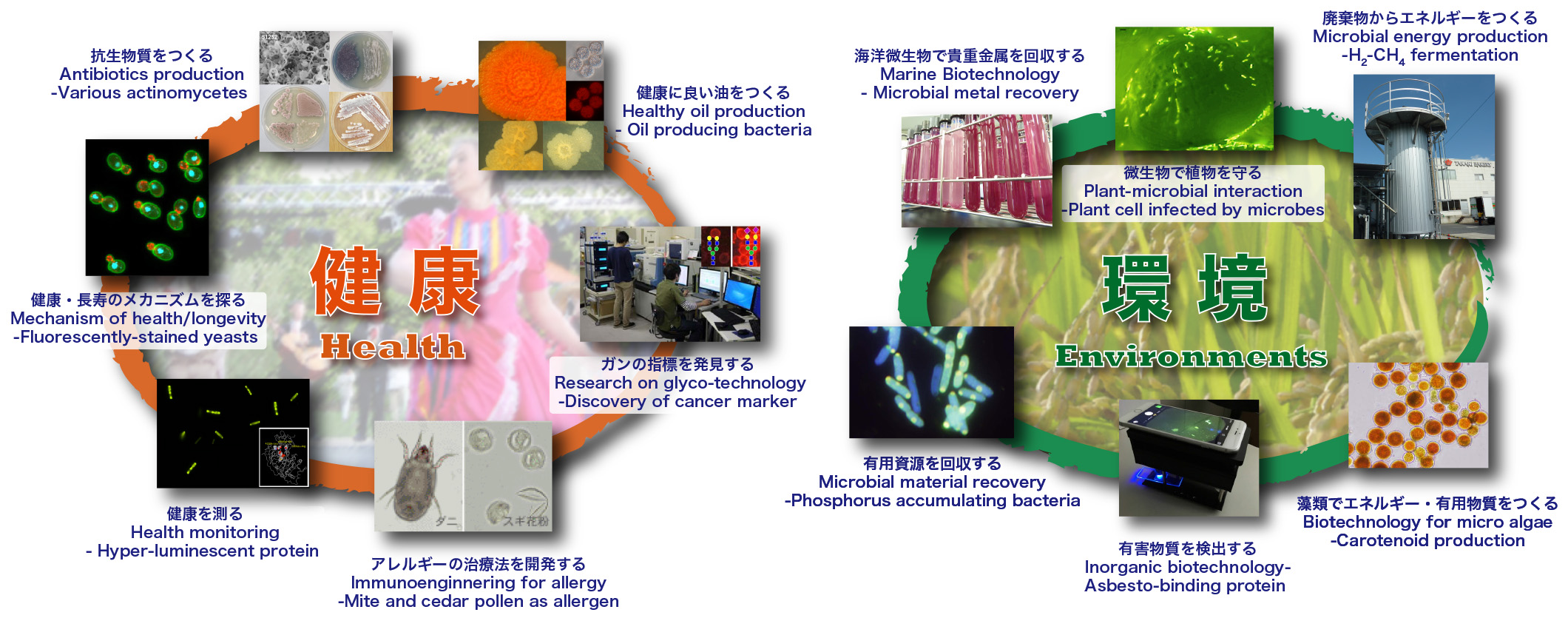 Researches of Biotechnology