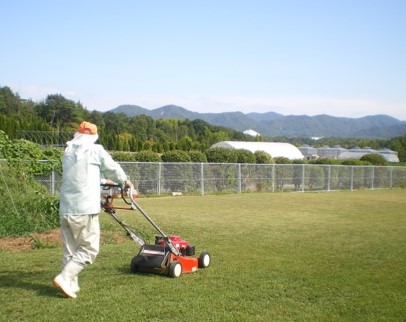 （除草作業の写真）