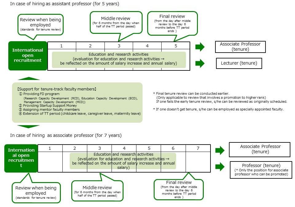 Career Tracks for Faculty Members (example)