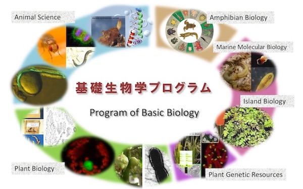 基礎生物学プログラムイメージ画像