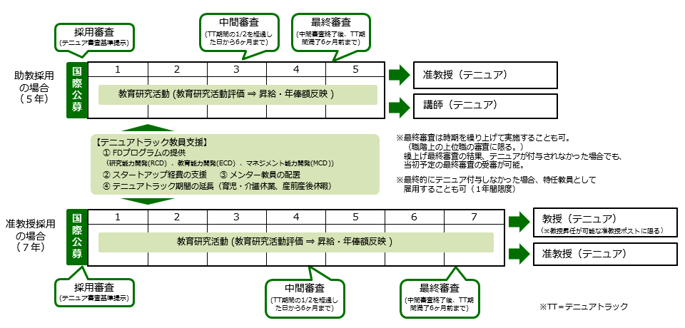 テニュアトラック教員のキャリアパス（例）