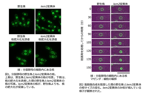 参考資料図