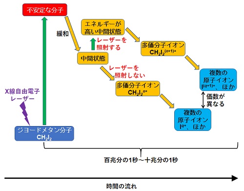 X線照射によって起こる一連の過程の模式図