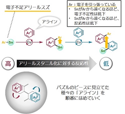 銅触媒を用いたアラインの連続的アリールスタニル化