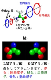 円二色性