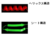 へリックス構造 シート構造