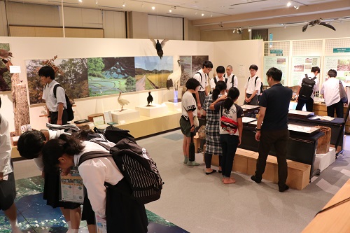Participants observing Hiroshima University Museum