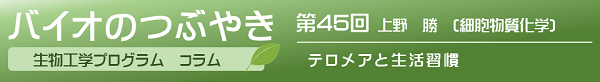 バイオのつぶやき第45回上野勝准教授