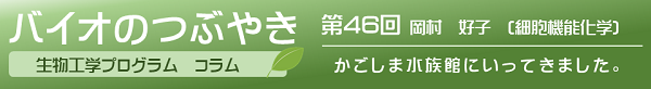 バイオのつぶやき第46回岡村好子准教授「かごしま水族館にいってきました」