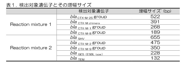 検出対象遺伝子とその増幅サイズの表