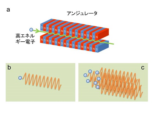 図. アンジュレータからの放射