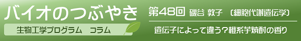バイオのつぶやき第48回「遺伝子によって違う？橙系芋焼酎の香り」磯谷敦子客員教授