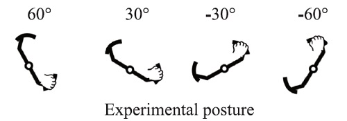 experimental posture