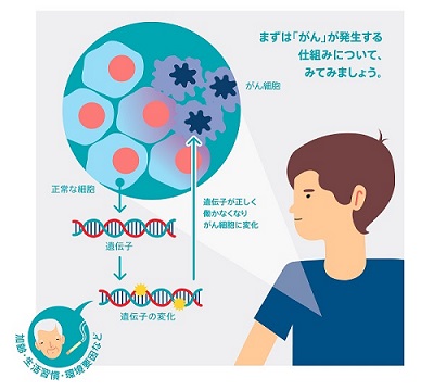 がんの発生するしくみ