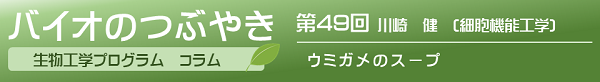 第49回川崎健助教「ウミガメのスープ」 第49回川崎健助教「ウミガメのスープ」
