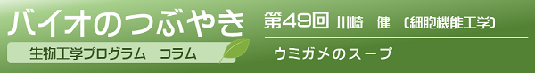 第49回川崎健助教「ウミガメのスープ」