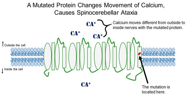 sca-image