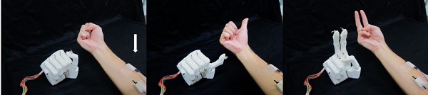 Newswise: 3D printed prosthetic hand can guess how you play rock, paper, scissors