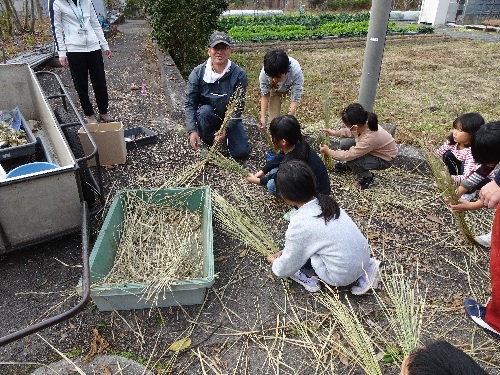 しめ縄の作り方の説明