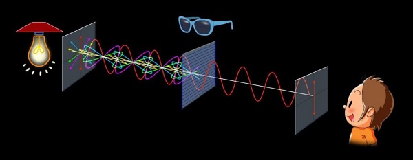 Polarization filters light so that it vibrates in one direction