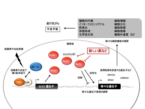 まとめの概念図