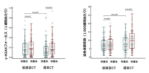 図3：CT検査によるγ-H2AXフォーカス(左)と染色体異常(右)の増加