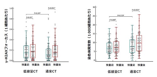 図3:CT検査によるγ-H2AXフォーカス(左)と染色体異常(右)の増加