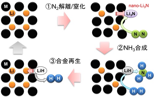 図1:Li合金を用いたNH3合成プロセスの概略図