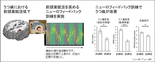 本研究における成果（図）