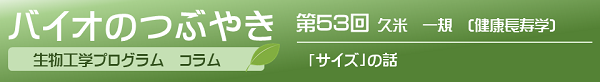 第53回　久米一規准教授 「「サイズ」の話」