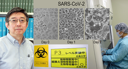 教授 コロナ 大学