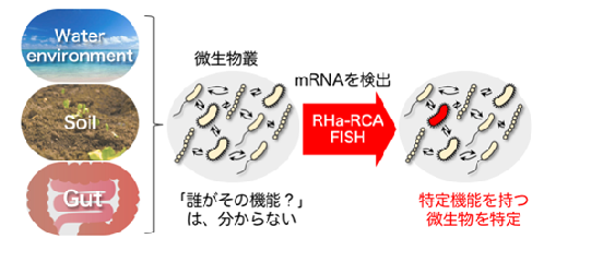 図1. 本研究の目的の概念図