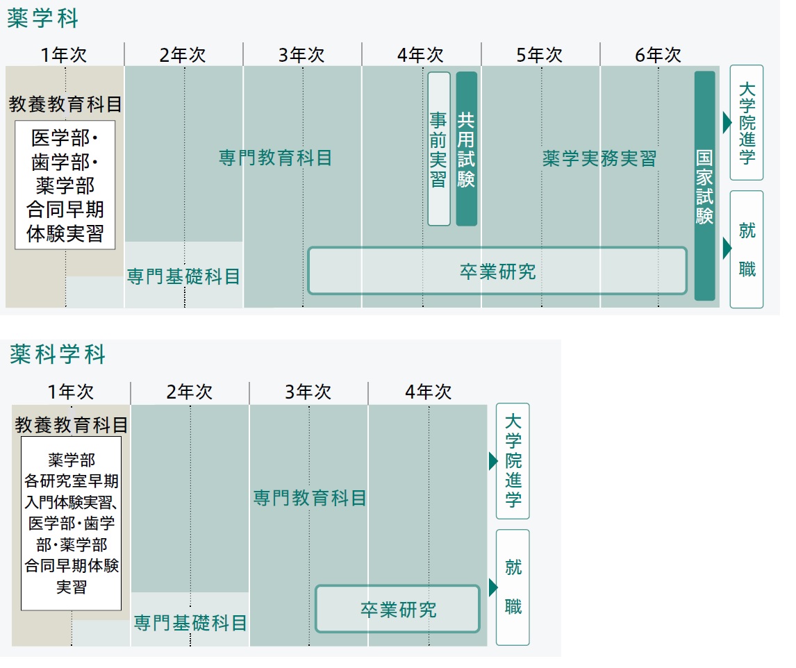 学科紹介 広島大学