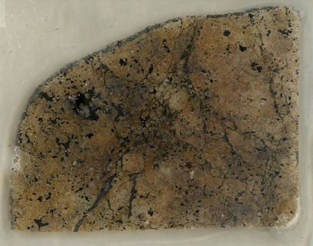 図3 テンハム隕石中の薄片写真